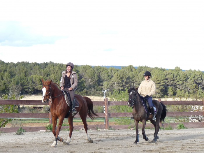 Photo de profil de equidusud