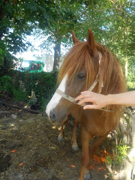 Photo de profil de fjord85