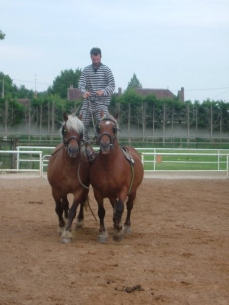 Photo de profil de owen89