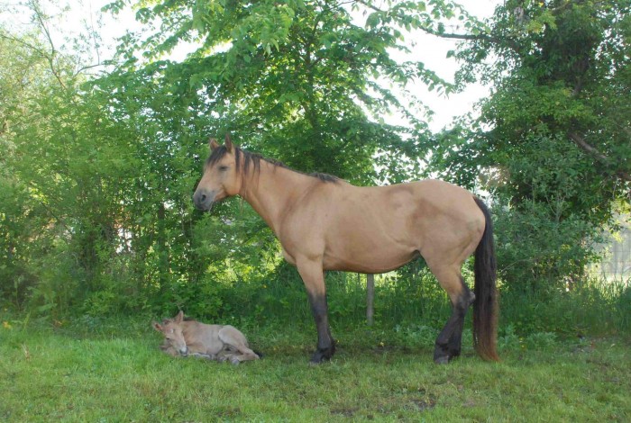 Photo de profil de barburo