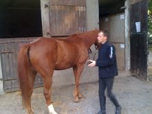 Photo de profil de titis617