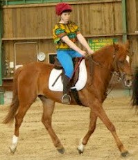 Photo de profil de lilihorsecheval