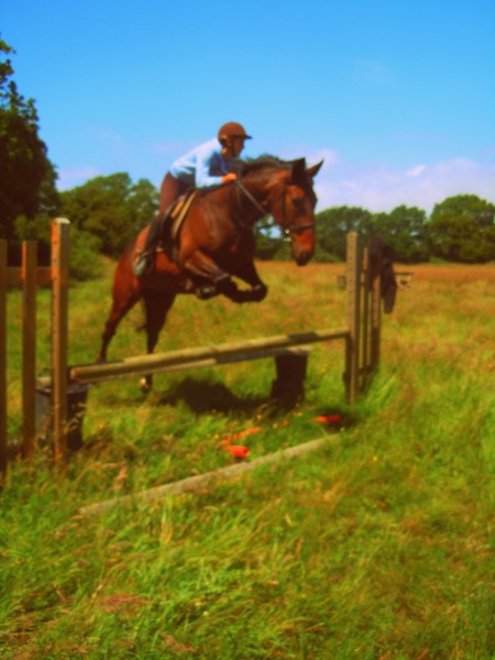 Photo de profil de fiona0013