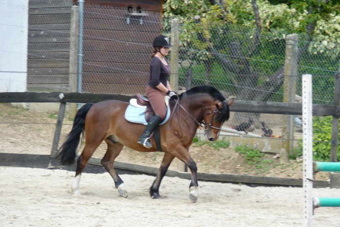 Photo de profil de leslielsl