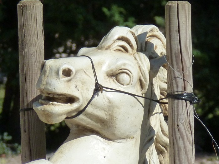 Photo de profil de magalou76