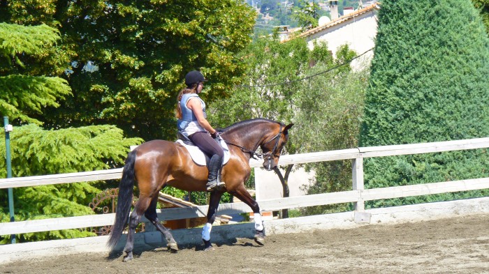 Photo de profil de kaaz