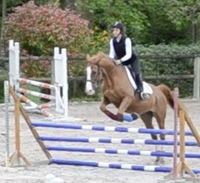 Photo de profil de vishnu2005