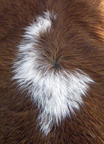 Photo de profil de ulysse01