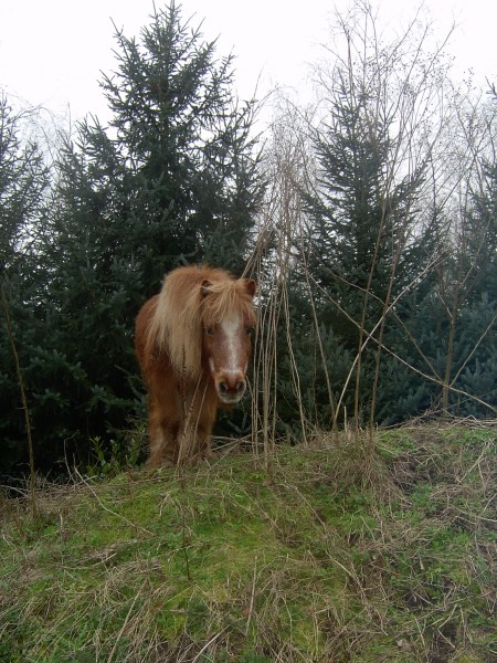 Photo de profil de auresy