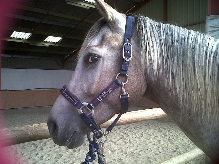 Photo de profil de carrelis