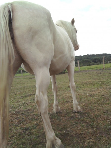 Photo de profil de princessepolka