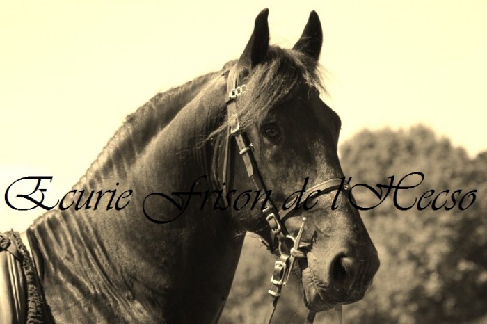 Photo de profil de frisone40