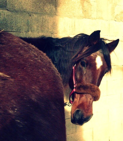 Photo de profil de oklahoma34