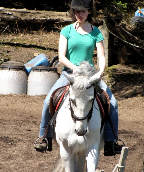 Photo de profil de siloeking