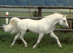 Photo de profil de ilovemajument