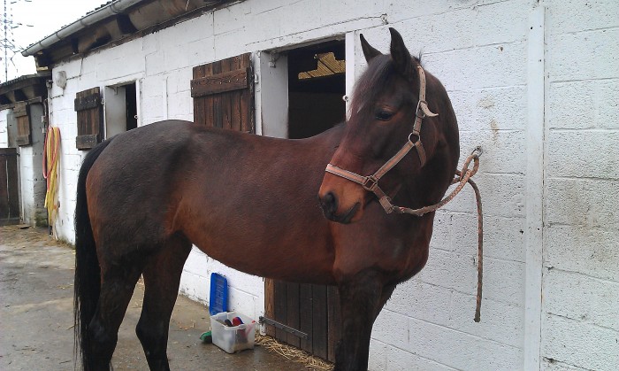 Photo de profil de tarituba