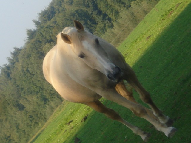 Photo de profil de alexiah