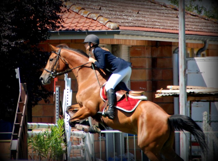 Photo de profil de autriplegalop