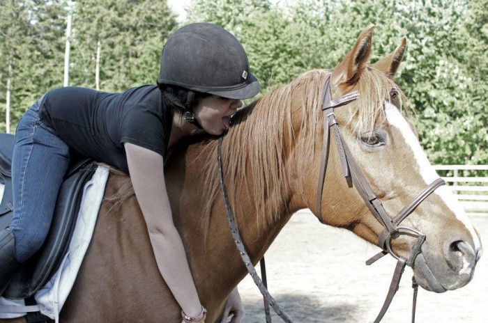 Photo de profil de sdressage