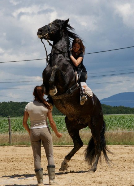 Photo de profil de luckynino