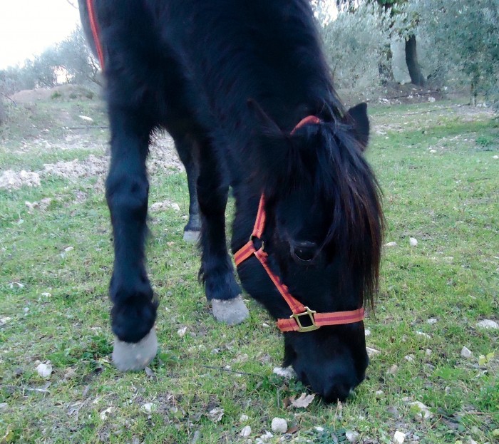 Photo de profil de iyano