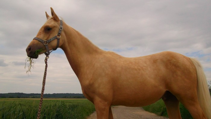 Photo de profil de roa2011