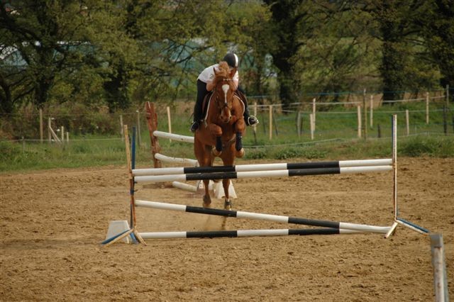 Photo de profil de mystica46