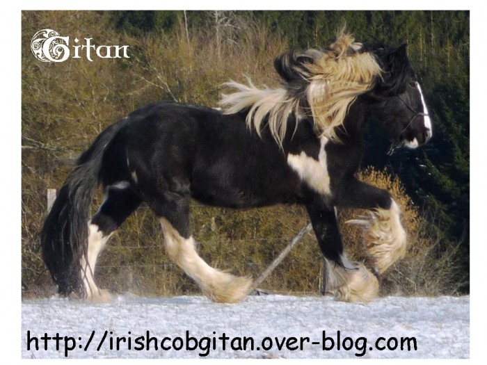 Photo de profil de wouane