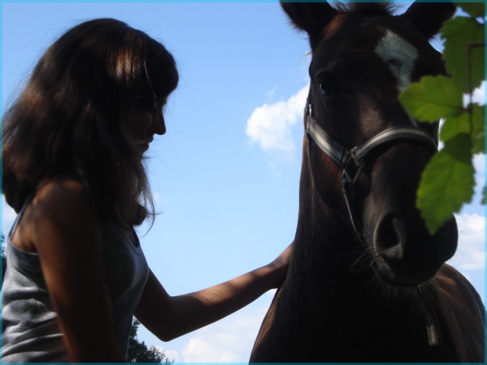 Photo de profil de pimpimnelle