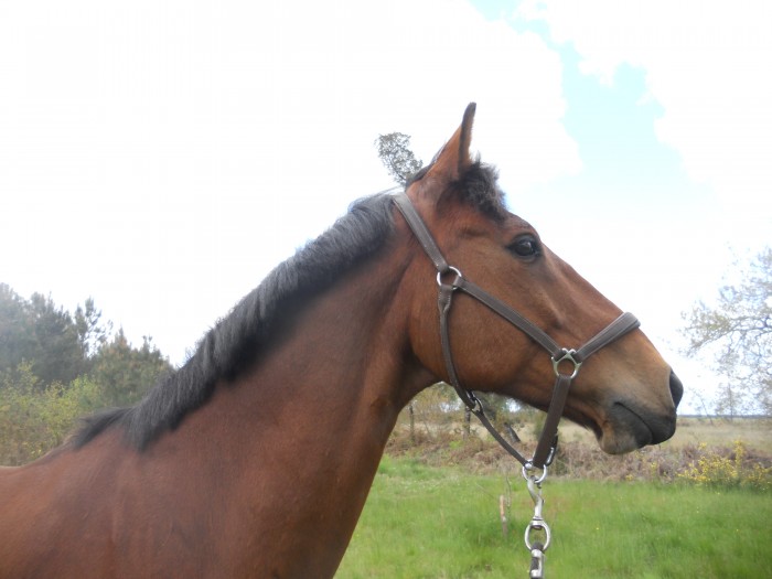 Photo de profil de lord1404