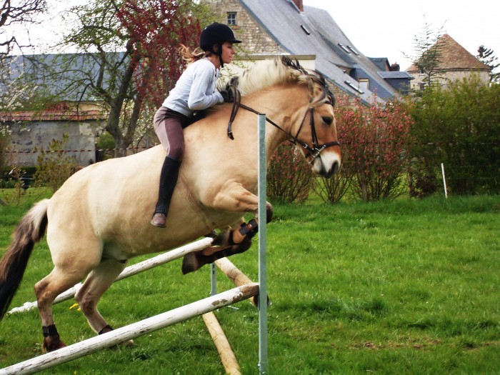 Photo de profil de sunray