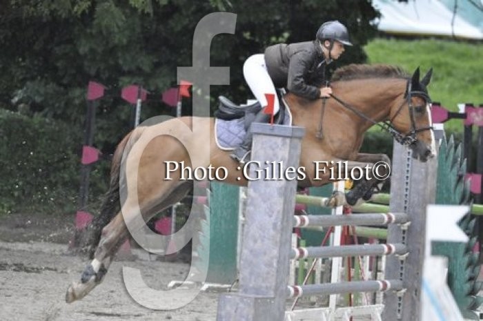 Photo de profil de palomah