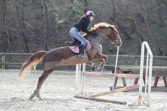 Photo de profil de harmonielr