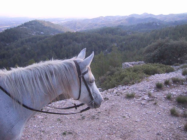 Photo de profil de mariauceda