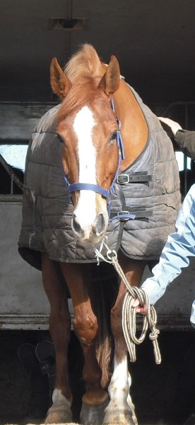 Photo de profil de malouloute50
