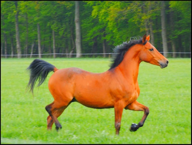 Photo de profil de sarahmateos