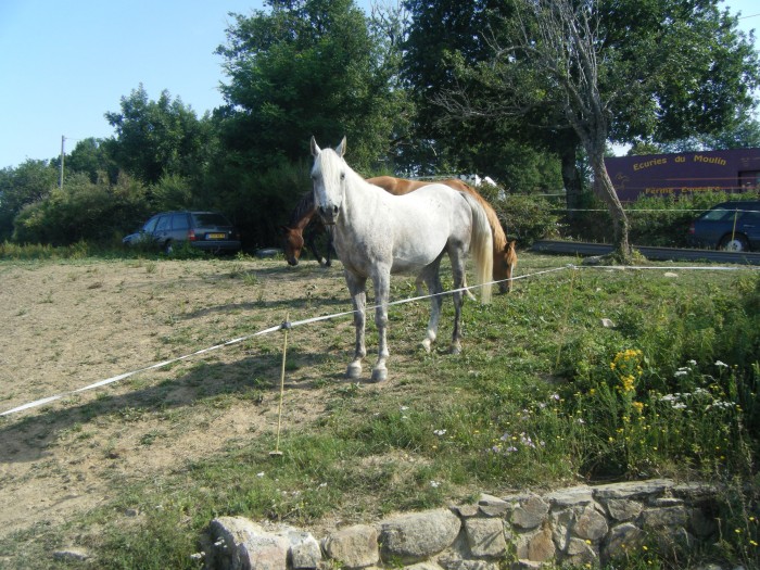 Photo de profil de manondu34