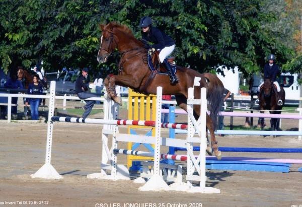 Photo de profil de mathilde13598