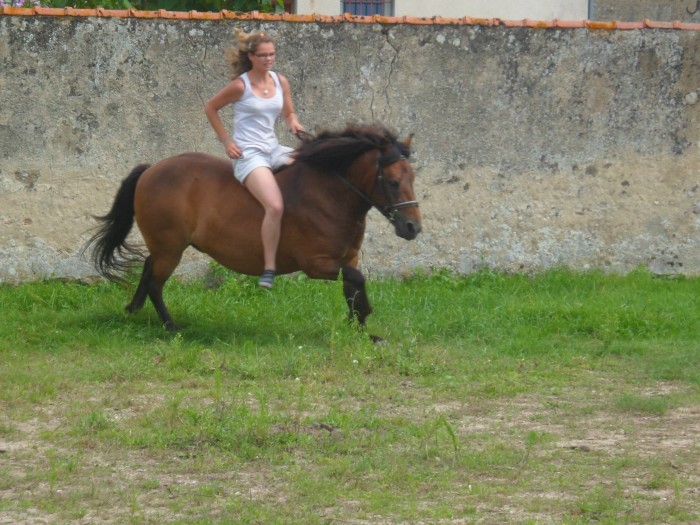 Photo de profil de sarahdess