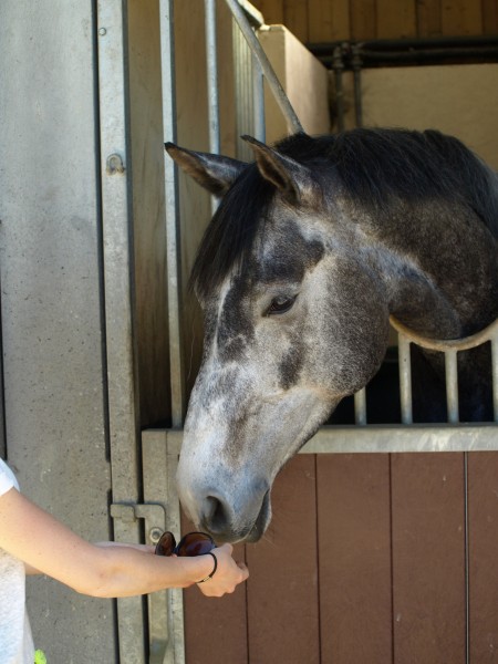 Photo de profil de charloune