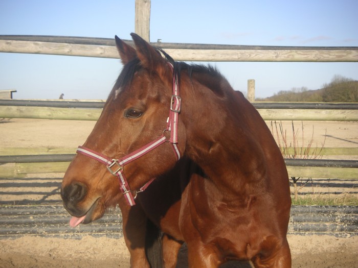 Photo de profil de megane_decaen