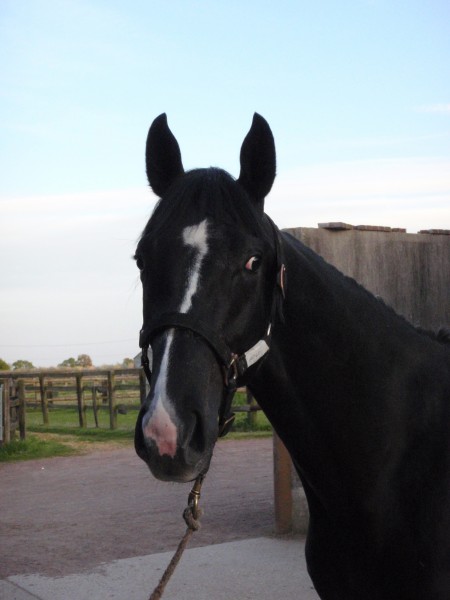 Photo de profil de monestier