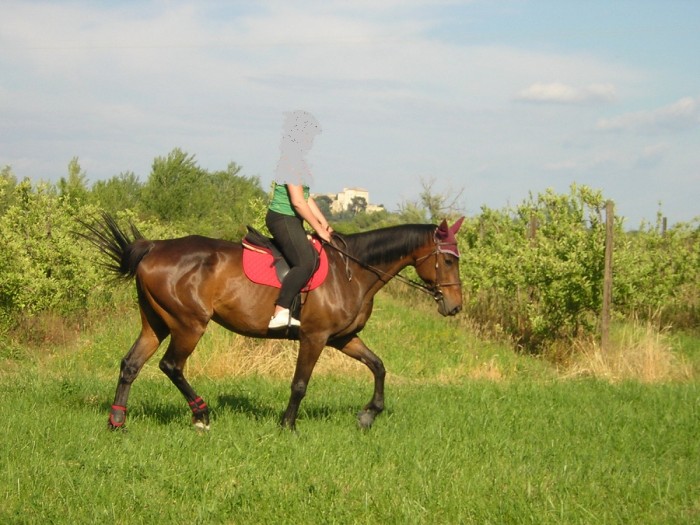 Photo de profil de marine13300