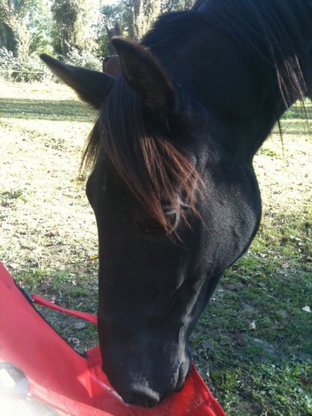 Photo de profil de celinepiergy