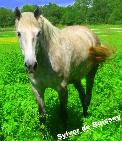 Photo de profil de laurakiffel