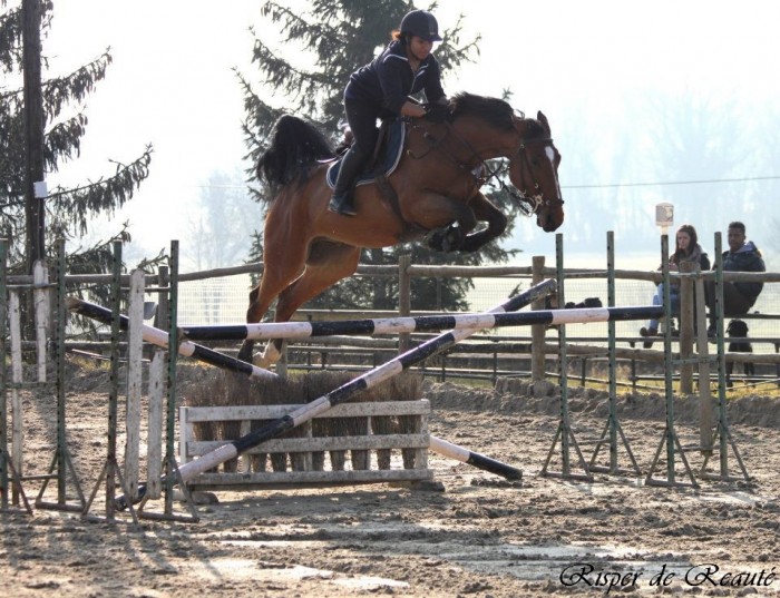 Photo de profil de moira_adcb