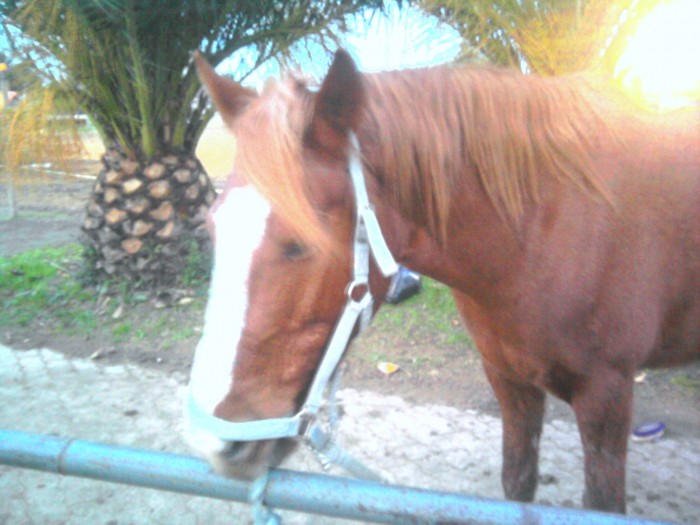 Photo de profil de ora83