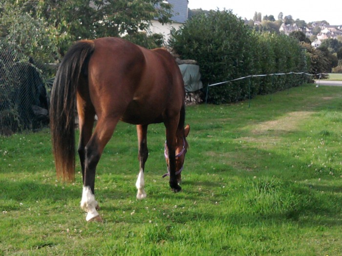 Photo de profil de clairelr
