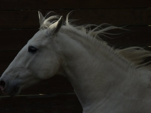 Photo de profil de laptitecocci