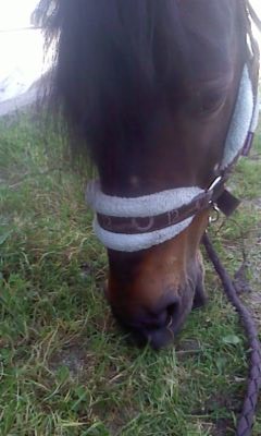 Photo de profil de blackdesetisse1